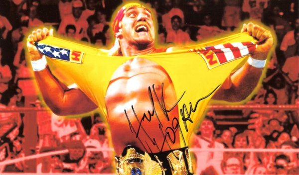 Hulk Hogan Wrestling Game Xbox Hulk Hogan Wrestling Game Xbox